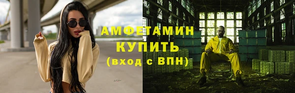 ГАЛЛЮЦИНОГЕННЫЕ ГРИБЫ Коряжма