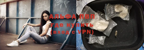 ГАЛЛЮЦИНОГЕННЫЕ ГРИБЫ Коряжма