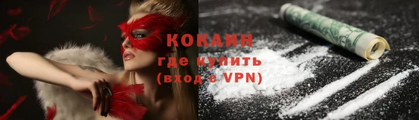 ГАЛЛЮЦИНОГЕННЫЕ ГРИБЫ Коряжма