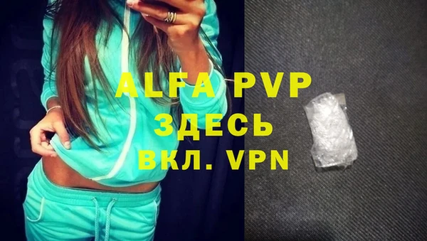 ГАЛЛЮЦИНОГЕННЫЕ ГРИБЫ Коряжма